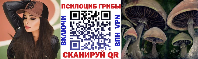 Псилоцибиновые грибы Psilocybine cubensis  Урюпинск 